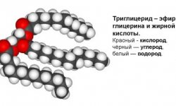 Причина повышенных триглицеридов