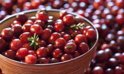 Клюква при диабете: польза и вред для диабетиков, рецепты