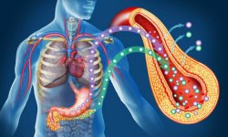 Cиндром метаболических нарушений